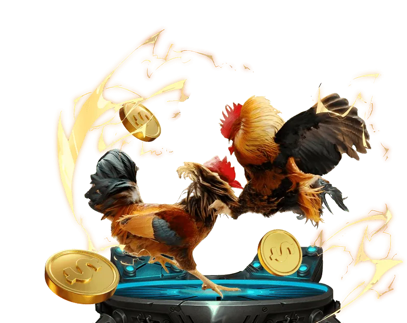 Hoàn trả hàng ngày 99vz